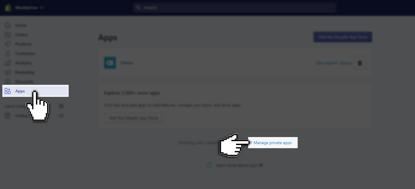 Creating Private Apps using ThemeKit Shopify