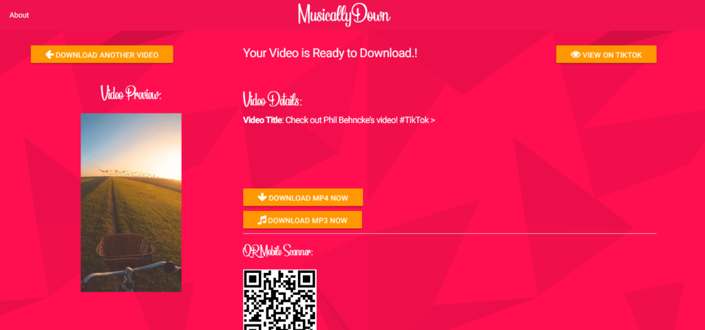 MusicallyDown - TikTok Video Downloader